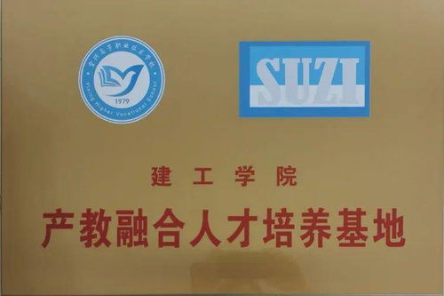 产教融合背景下江苏苏咨工程咨询有限责任公司的行业价值与企业概况